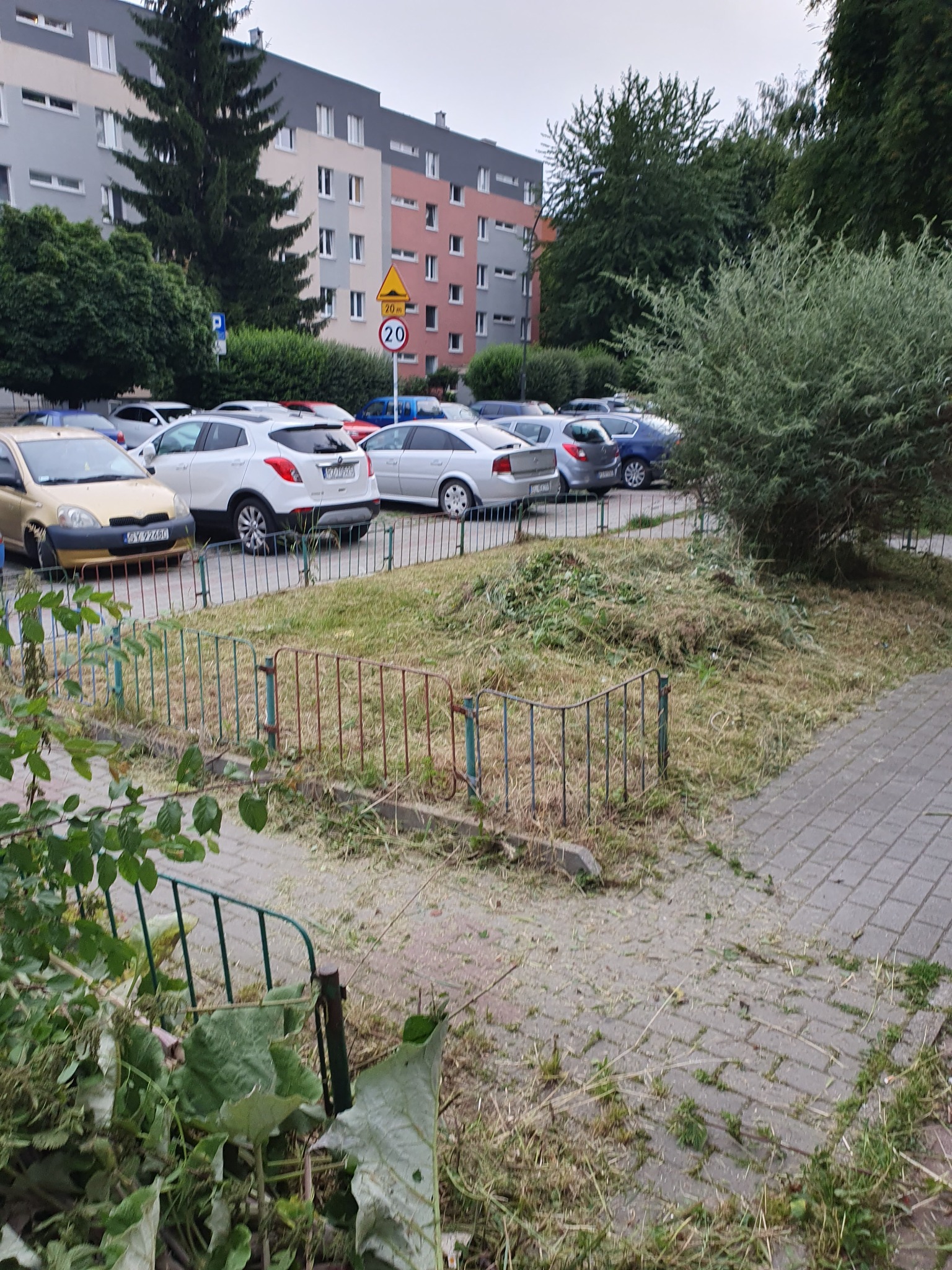 Świeżo skoszona trawa i przycięte gałęzie na terenie wspólnoty mieszkaniowej, z zaparkowanymi samochodami w tle i fragmentem chodnika z kostki brukowej.