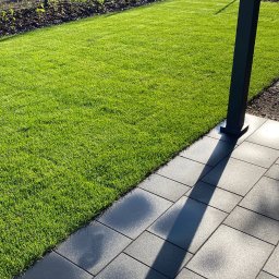 Łucki Garden Bruk - Świeżo skoszony trawnik przylegający do szarej kostki brukowej, cień pada od metalowej konstrukcji, w tle rabata z roślinami.