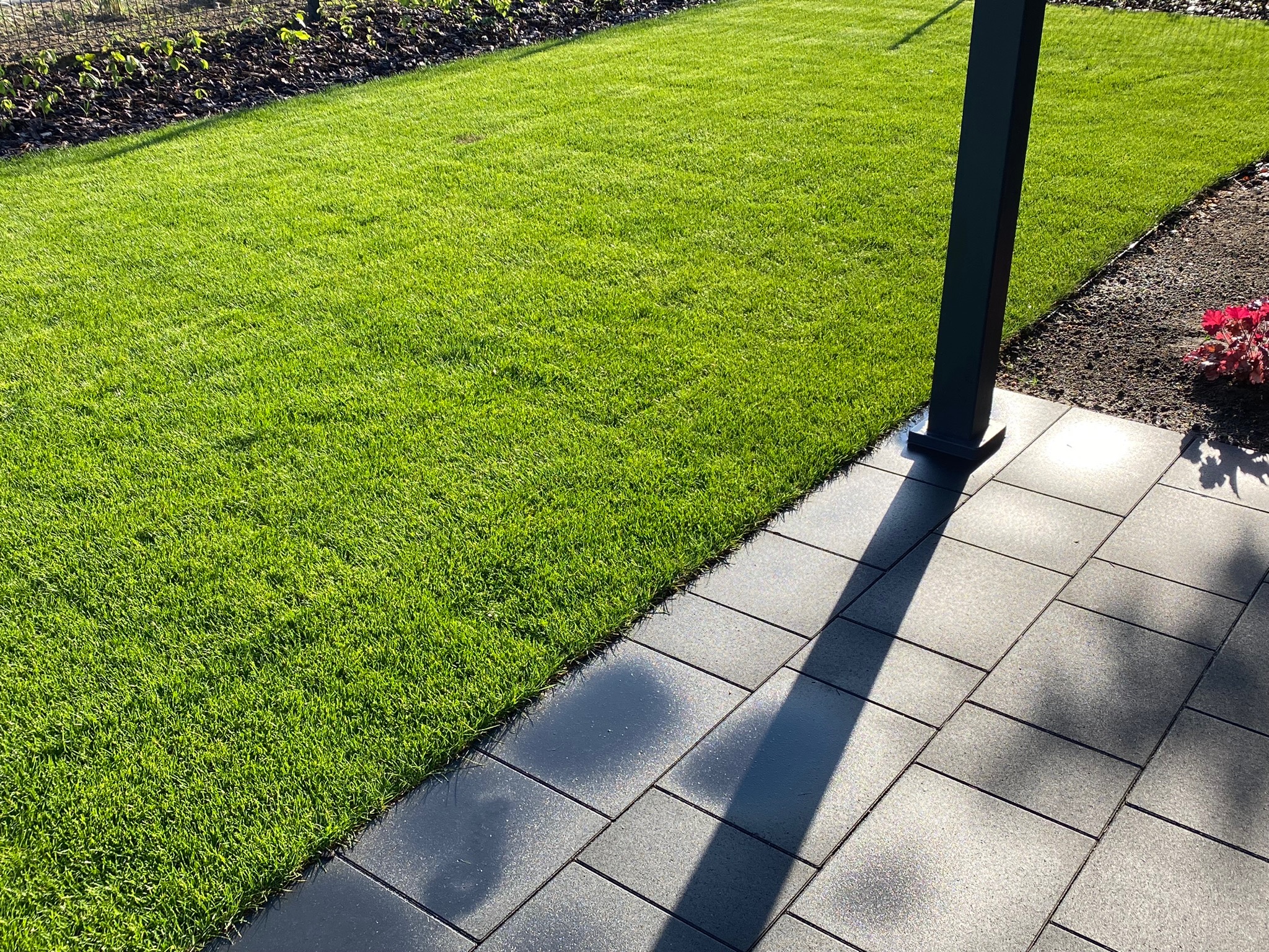Świeżo skoszony trawnik przylegający do szarej kostki brukowej, cień pada od metalowej konstrukcji, w tle rabata z roślinami.