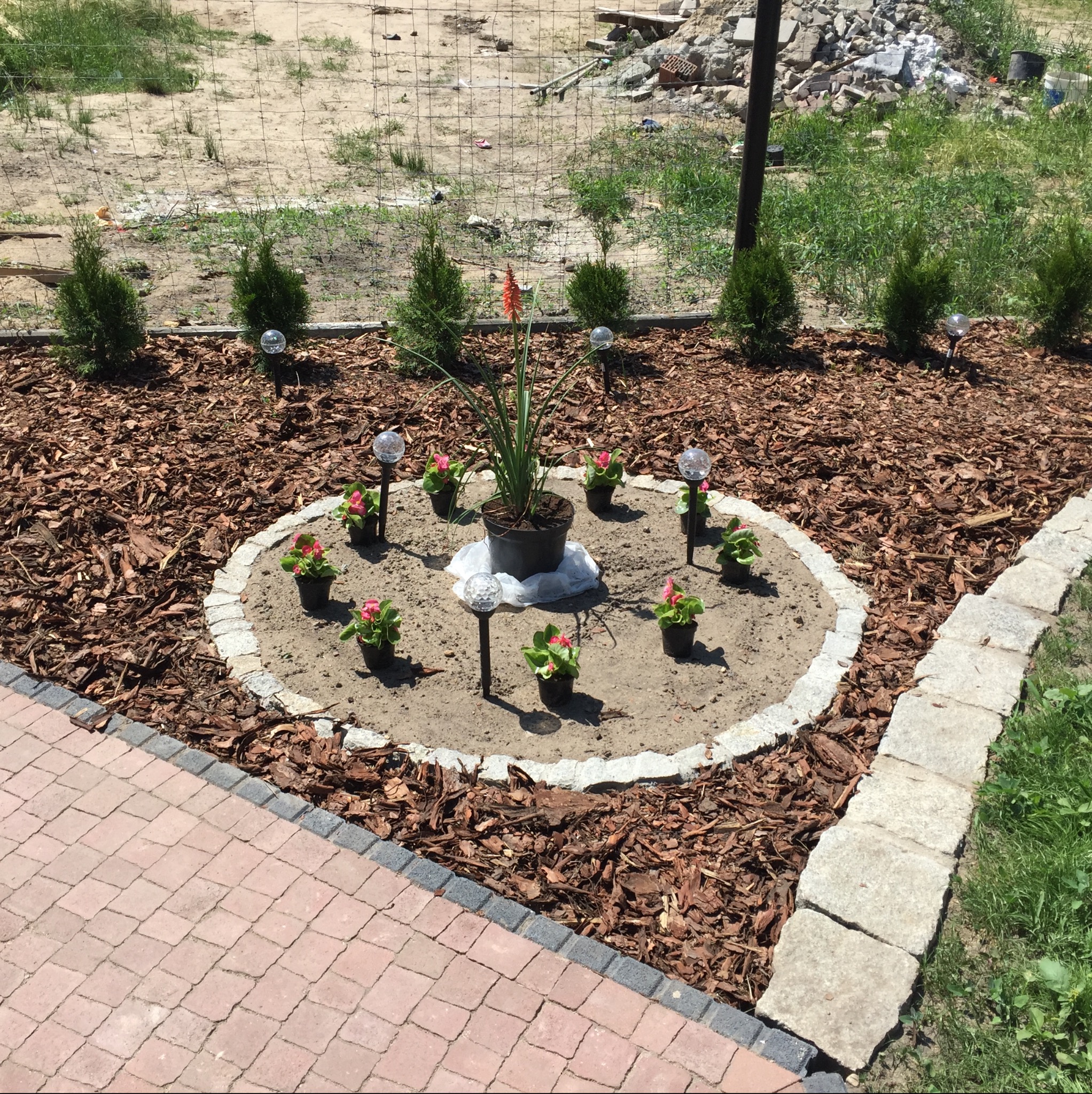 Ogród z rabatą wysypaną korą, obrzeżem z kostki i nasadzeniami: tuje, kwiaty w doniczkach i lampki solarne. W tle widoczne ogrodzenie i teren z gruzem.
