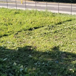 Zapraszamy do współpracy.