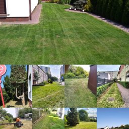 Koszenie trawy Szczecin 3