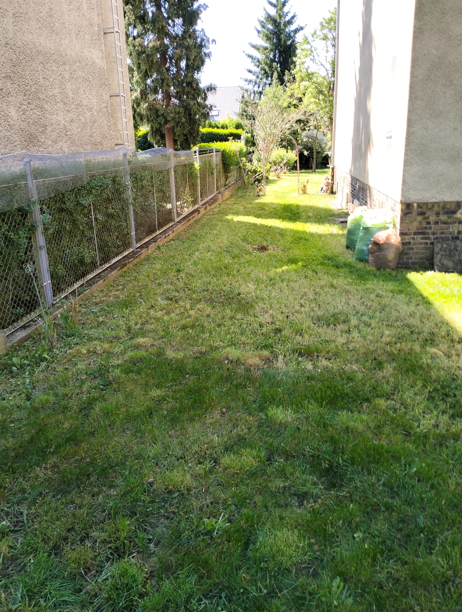 Widok na trawnik po zabiegu, z widocznymi śladami cięcia i trzema workami z odpadami zielonymi przy ścianie budynku.