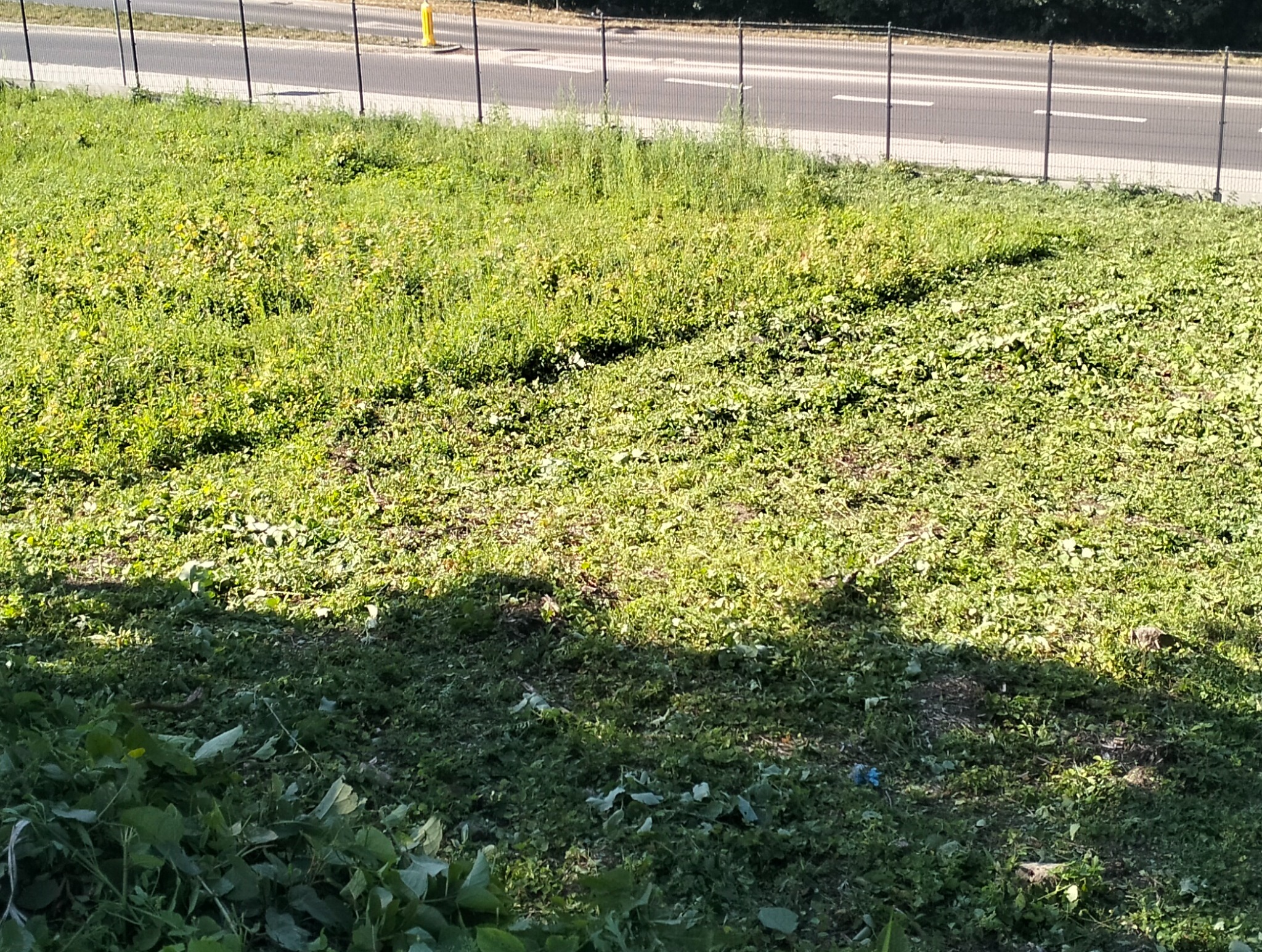 Zapraszamy do współpracy.