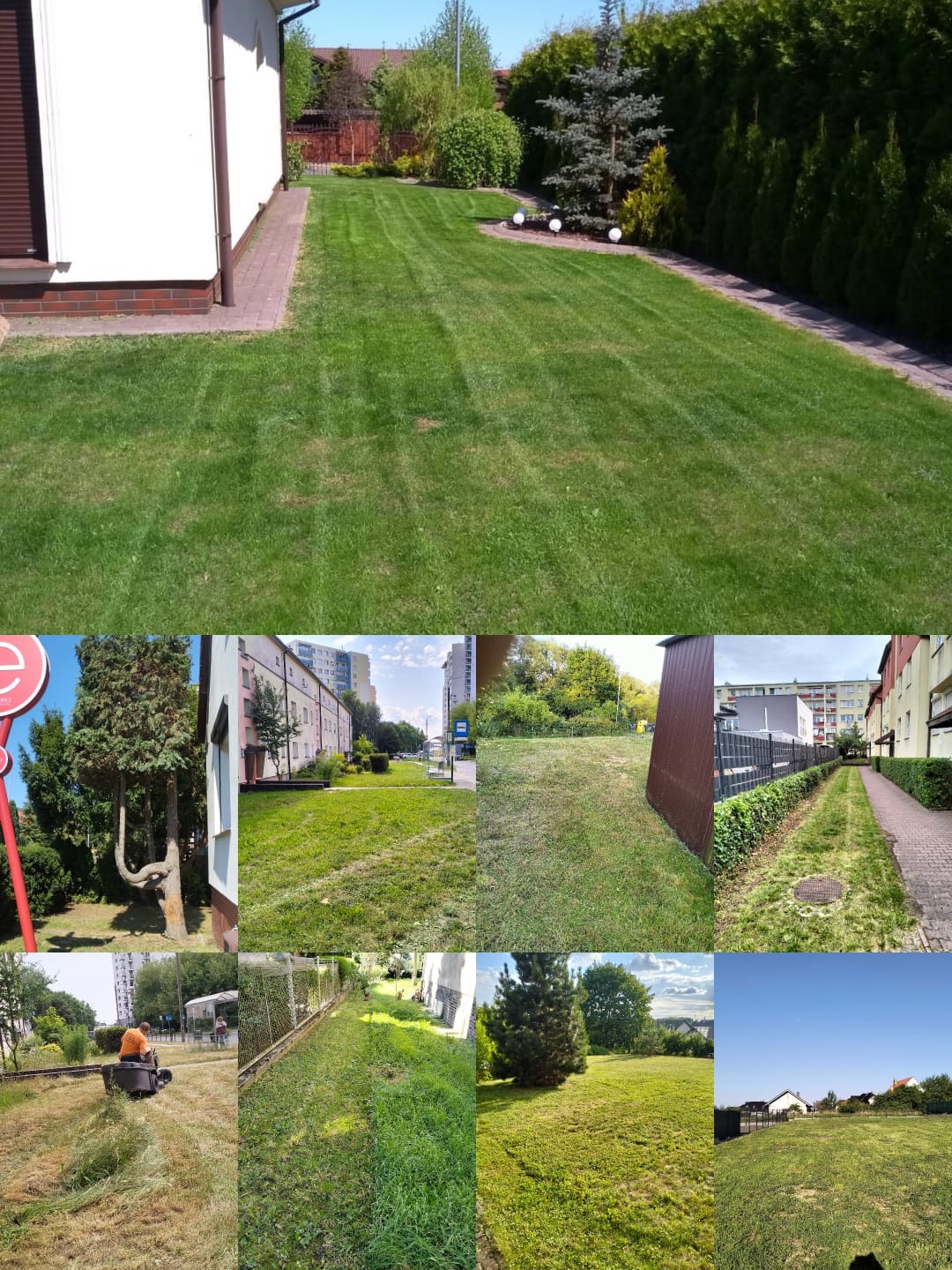 Mozaika zdjęć: perfekcyjnie skoszony trawnik z pasami w słoneczny dzień, inne trawniki w różnym stanie, osoba kosząca trawę, zieleń miejska i podmiejska.