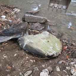 Niwelacja terenu Radzieje 4