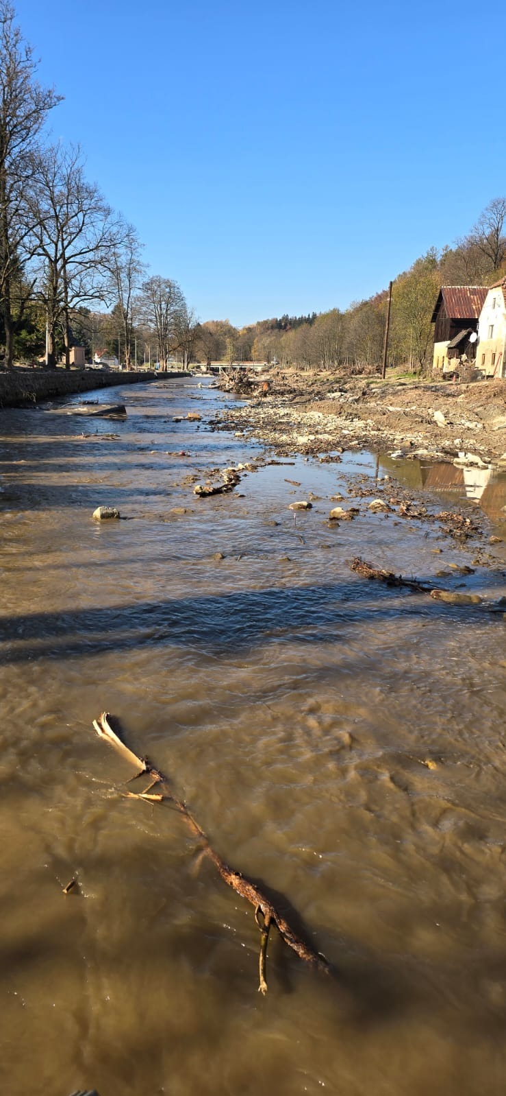Brudna rzeka po powodzi z powalonymi drzewami i gruzem, w tle zabudowania mieszkalne i most.