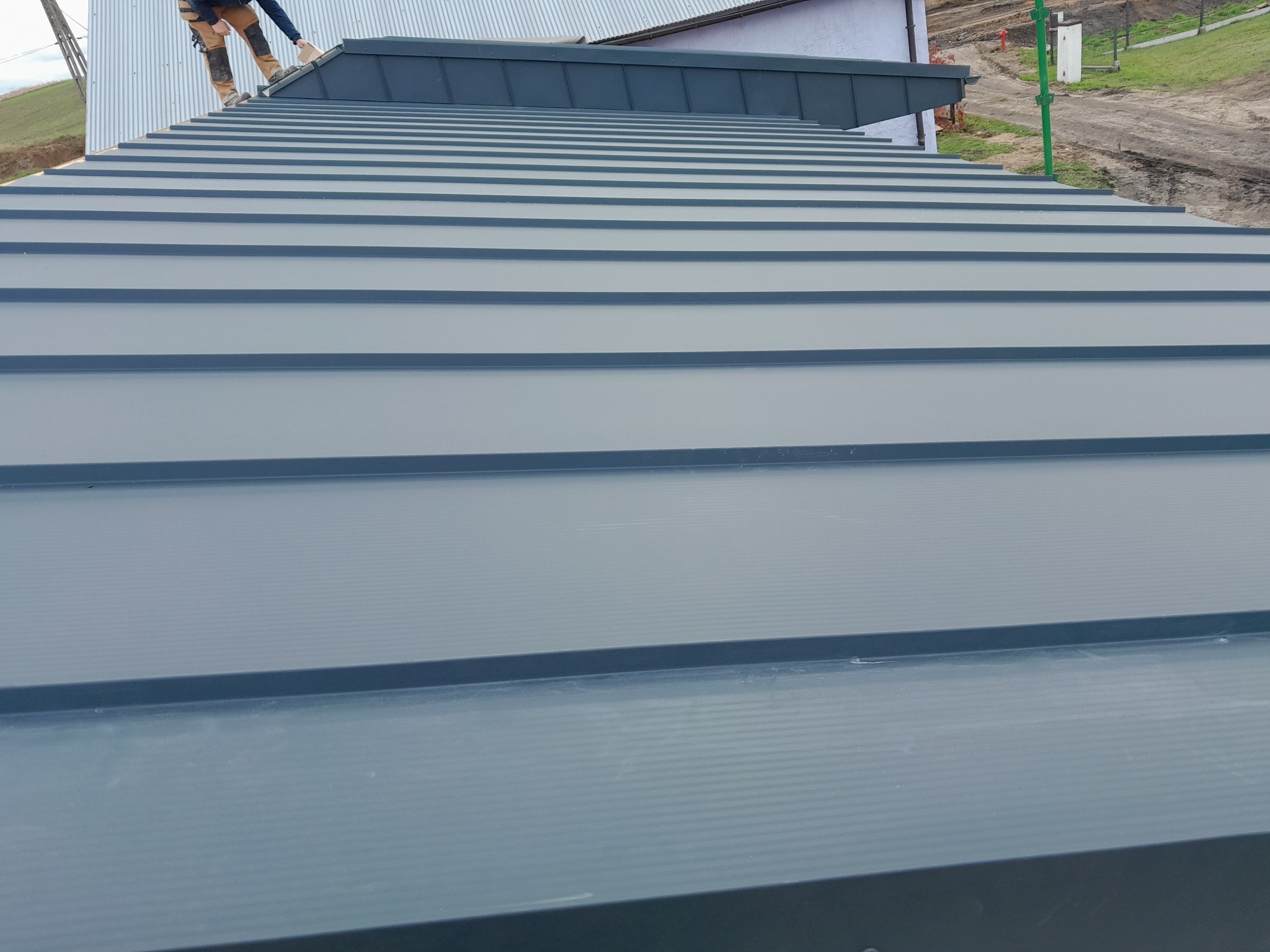 Kilka zrealizowanych budynków i dachów.