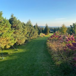 Zakładanie ogrodów Groblice 1