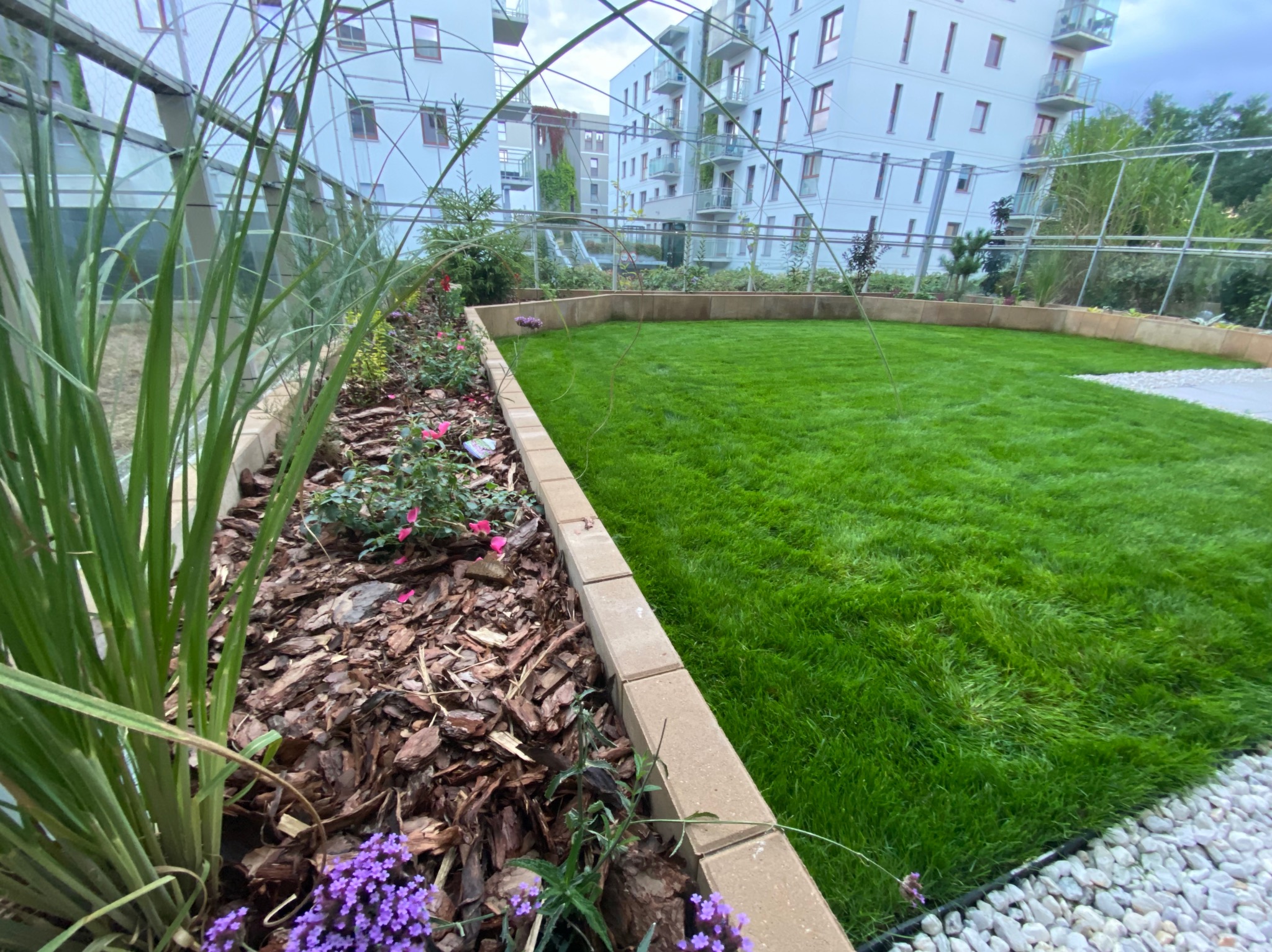 Zadbany trawnik z obrzeżem z kostki, rabata z korą i kwiatami na tle nowoczesnego budynku mieszkalnego. Widoczne elementy konstrukcji szklarni.