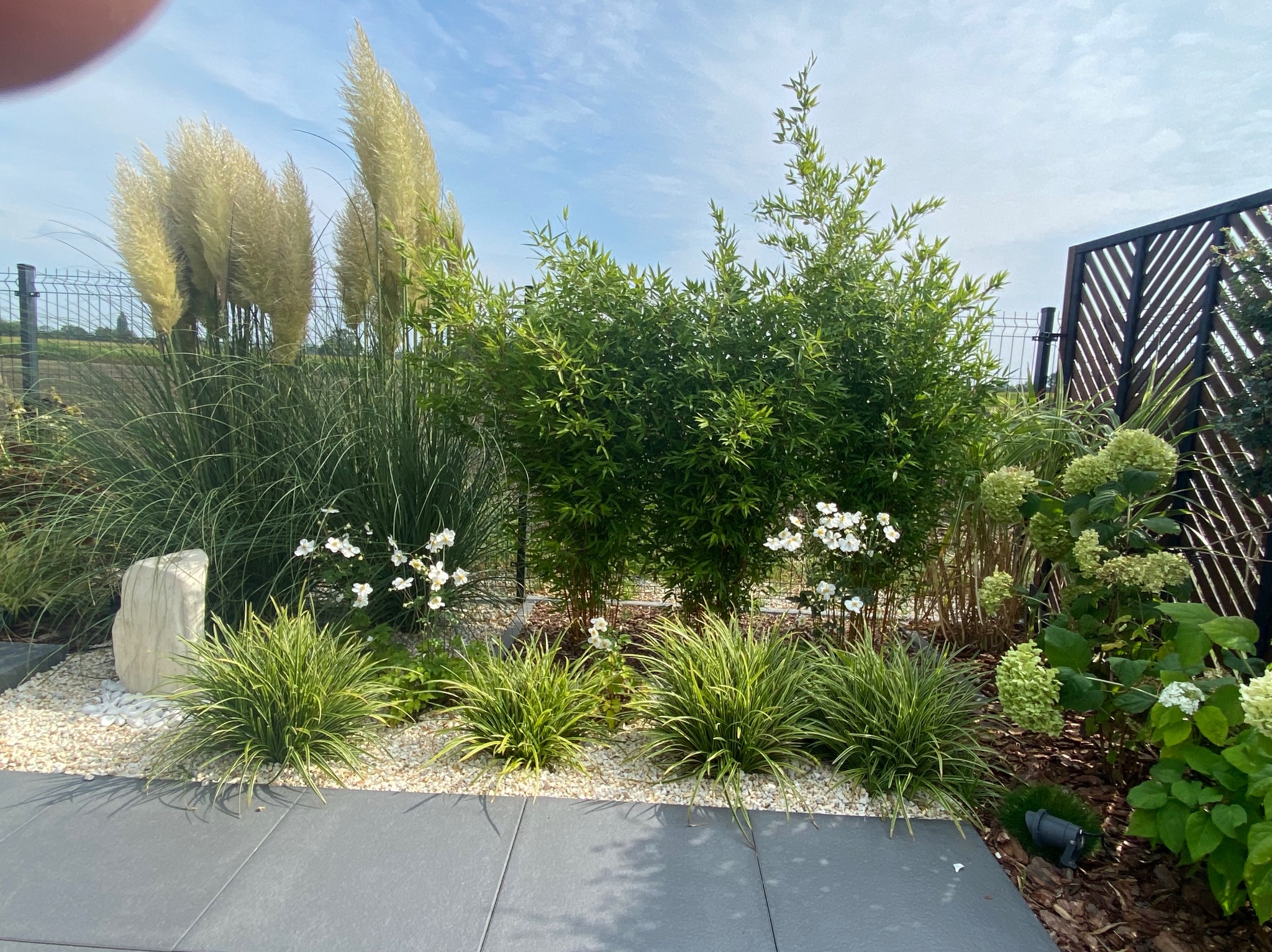 Nowoczesny ogród z ozdobnymi trawami, białymi kwiatami i kamieniami, wykończony szarymi płytami tarasowymi i drewnianym panelem ogrodzeniowym w tle.