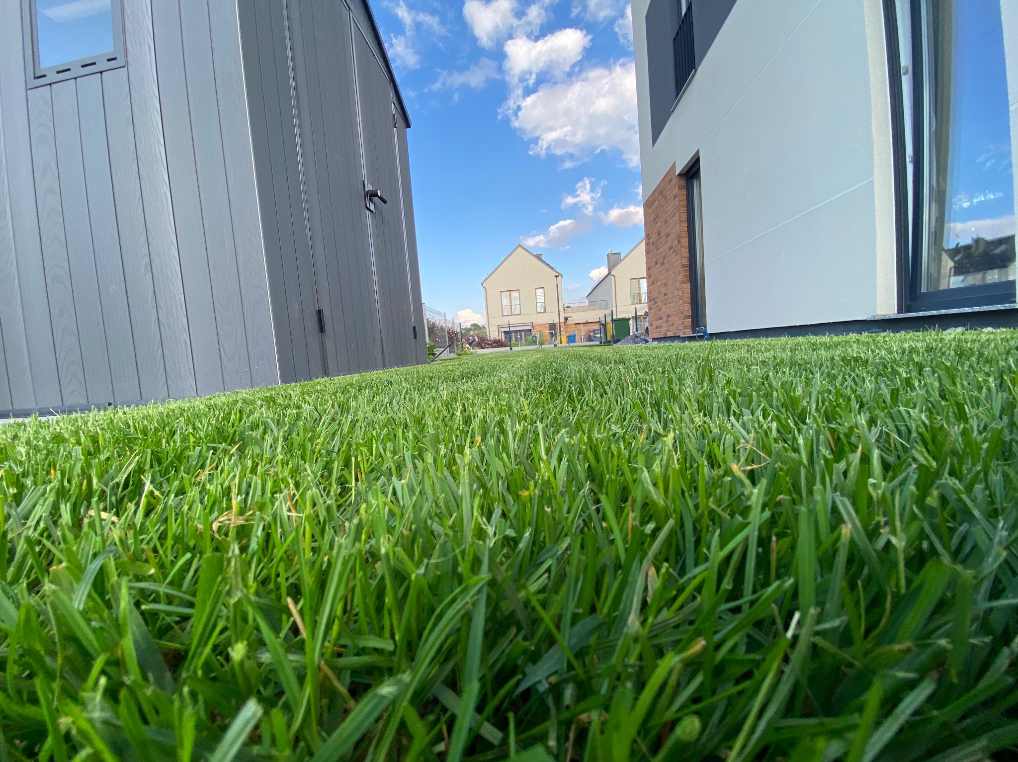 Niski kąt ujęcia trawnika między budynkami w słoneczny dzień. Intensywna zieleń trawy kontrastuje z szarymi ścianami i błękitnym niebem z białymi chmurami.