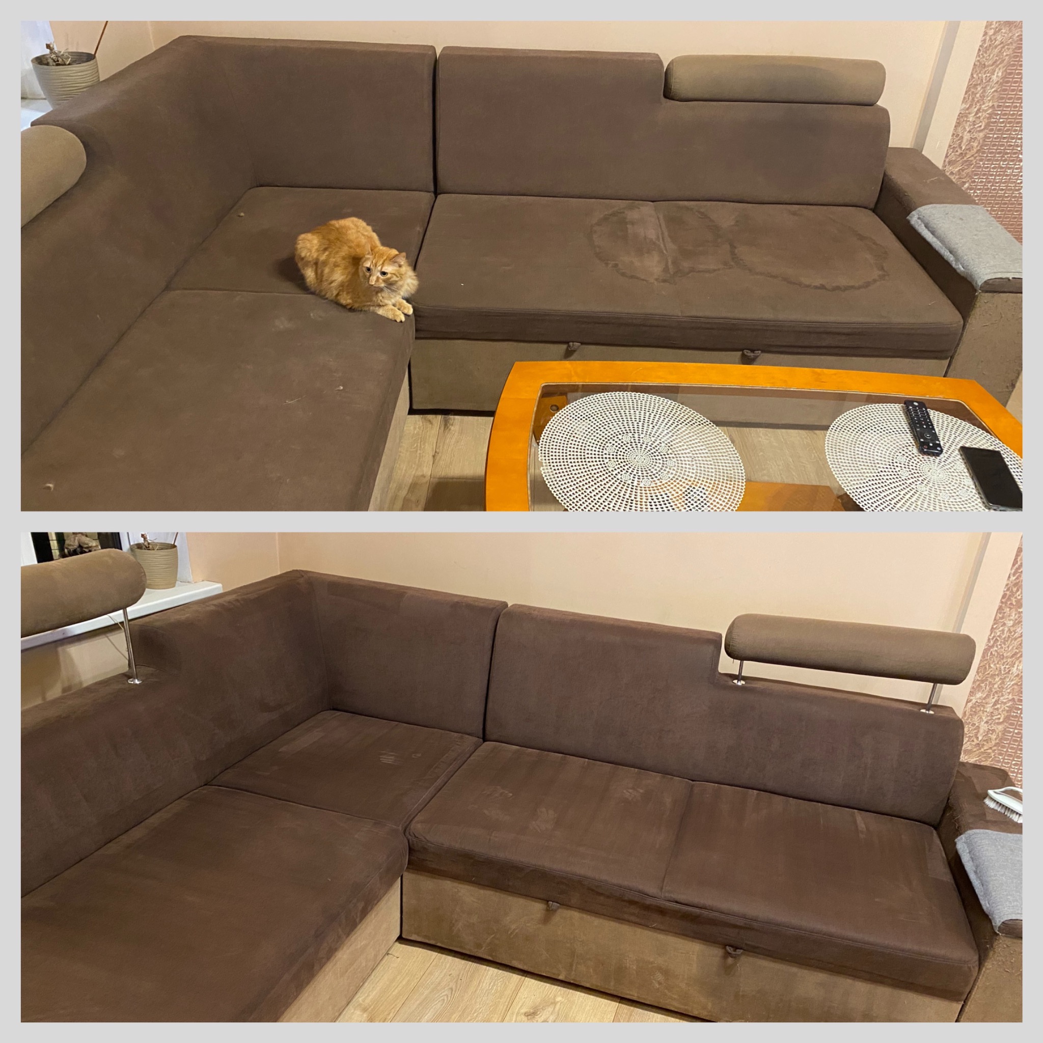 Dwuczęściowe ujęcie narożnej kanapy: górne przed czyszczeniem z plamą i siedzącym rudym kotem, dolne po czyszczeniu, ukazujące odświeżony wygląd.