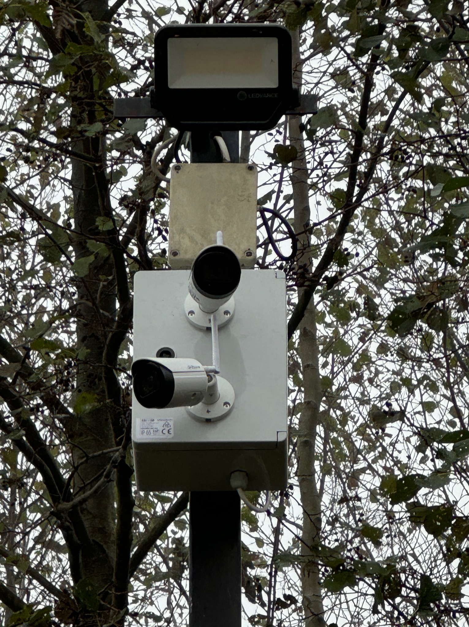 Dwie kamery monitoringu zamontowane na słupie, widoczna puszka instalacyjna, oświetlenie LED i drzewa w tle.