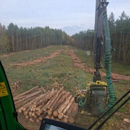 Wycinka drzew Wałcz 3