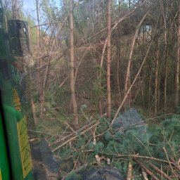 Wycinka drzew Wałcz 2