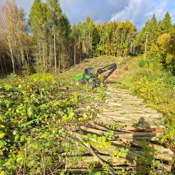 Wycinka drzew Wałcz 1