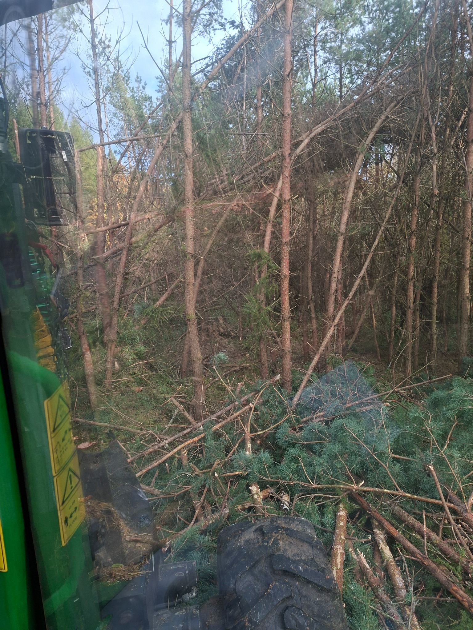 Wnętrze kabiny maszyny leśnej z widokiem na powalone drzewa i gałęzie. Widoczne opony maszyny i fragment szyby z naklejkami ostrzegawczymi.