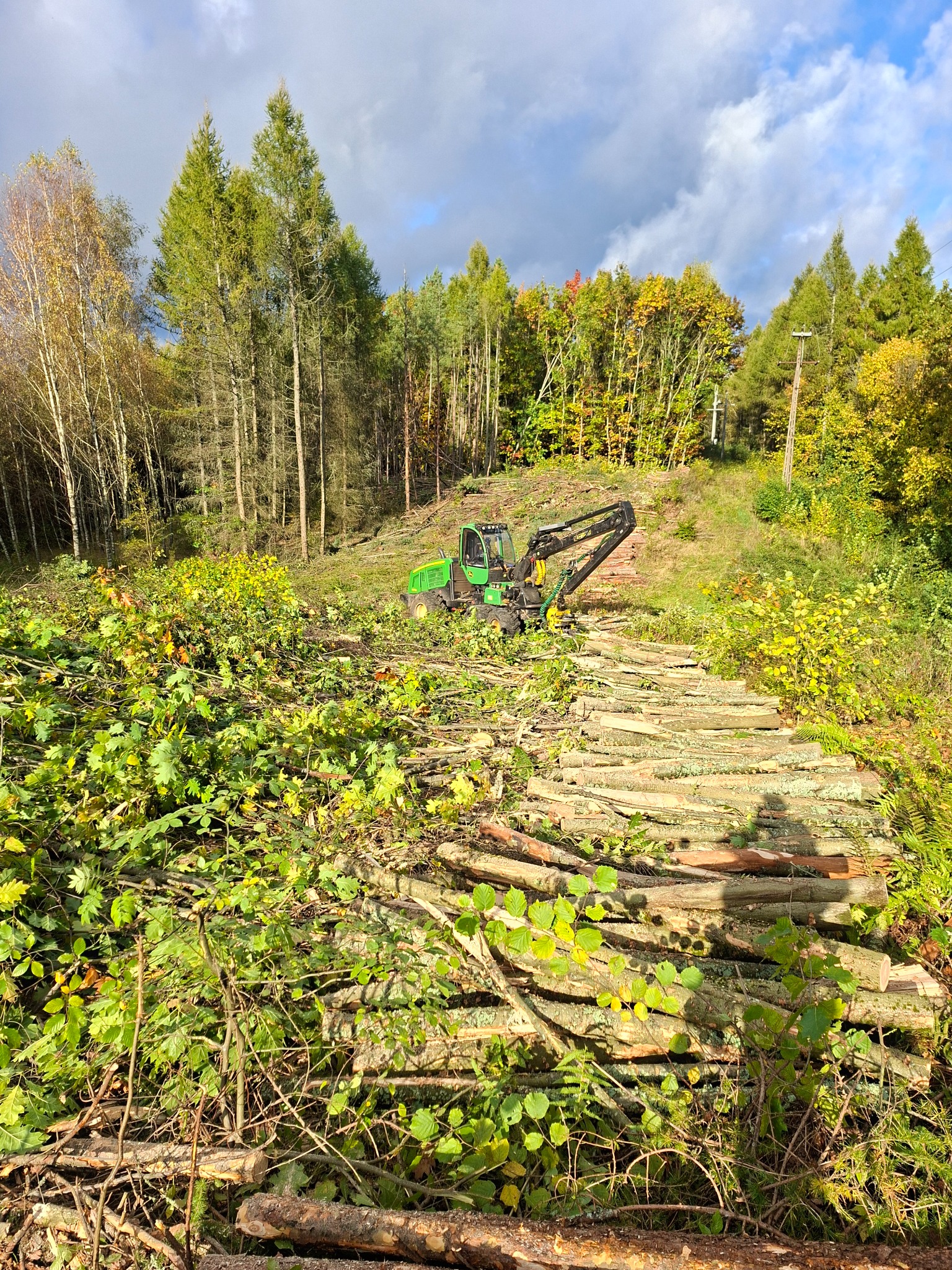 Zielona maszyna do wycinki drzew w lesie, ułożone pnie drzew na ziemi, jesienne drzewa w tle, pochmurne niebo.