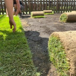 Aftergarden- Ogrody Premium - Układanie trawy z rolki w ogrodzie: widok z bliska na rozwijane rolki i ręce pracownika wyrównujące krawędzie.
