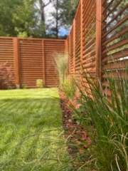 Nowoczesny ogród z drewnianym ażurowym ogrodzeniem, ozdobne trawy wzdłuż rabaty, świeżo skoszony trawnik, widok z bliska.