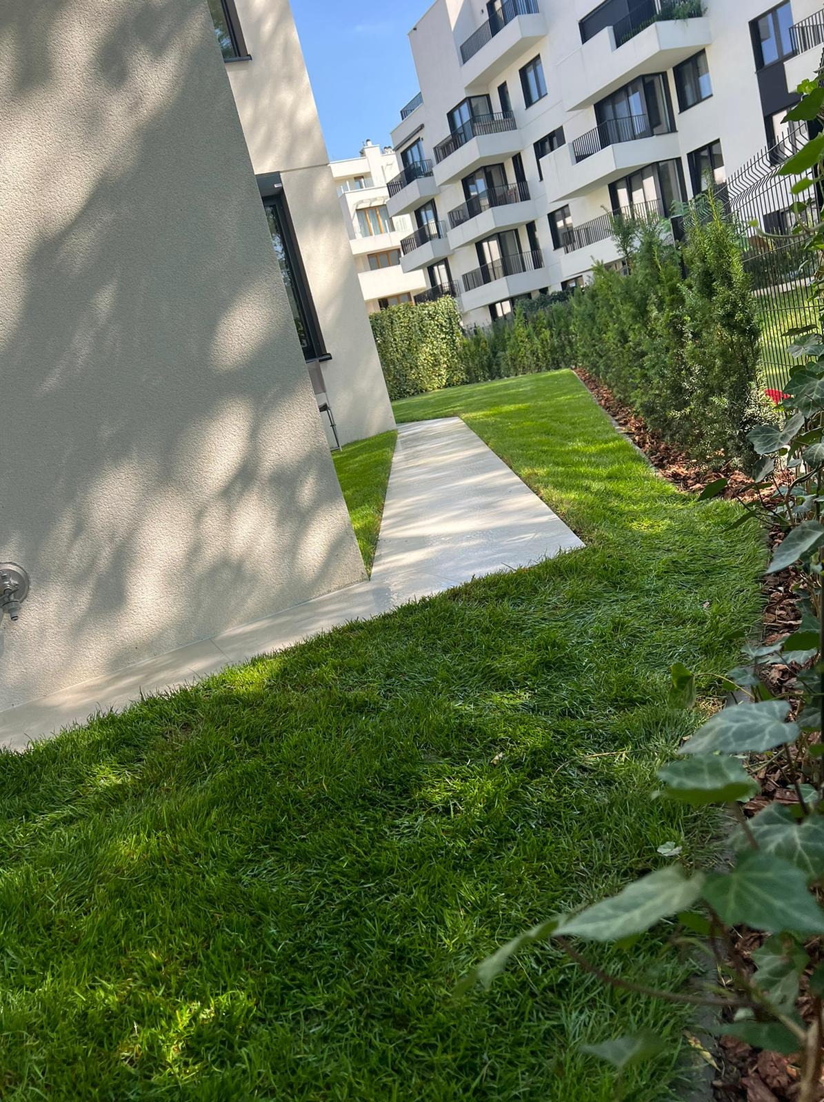 Świeżo założony trawnik z rolki przy nowoczesnym apartamentowcu, widoczny biały chodnik i równo przycięte tuje wzdłuż ogrodzenia.