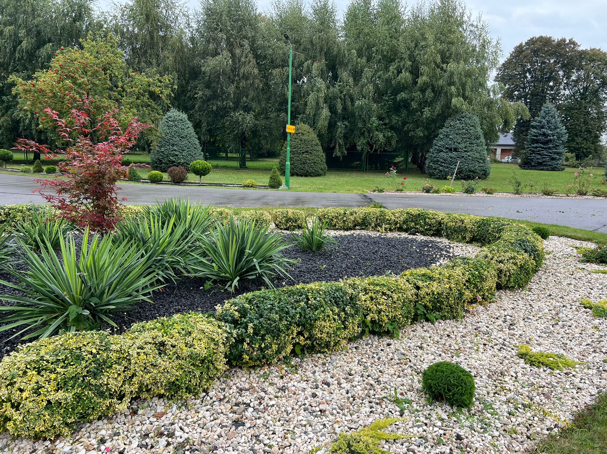 Ogród z geometrycznie ukształtowanymi rabatami, obwódka z krzewów o zielono-żółtych liściach, wnętrze wypełnione czarnym grysem, otoczenie z białych kamyczków, w tle drzewa i trawnik.