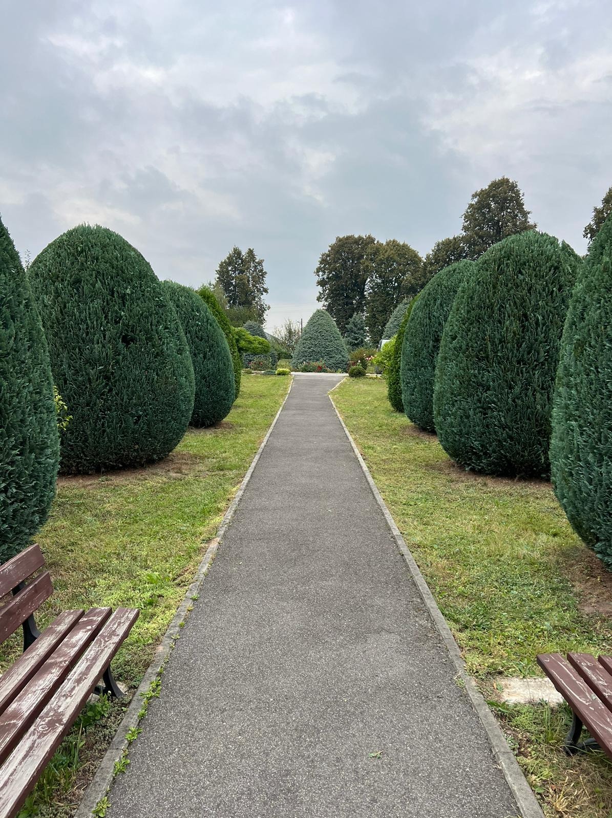 Symetryczny widok na ścieżkę w parku w Krakowie, otoczoną równo przyciętymi, kulistymi krzewami i drzewami, z ławkami po bokach i pochmurnym niebem w tle.