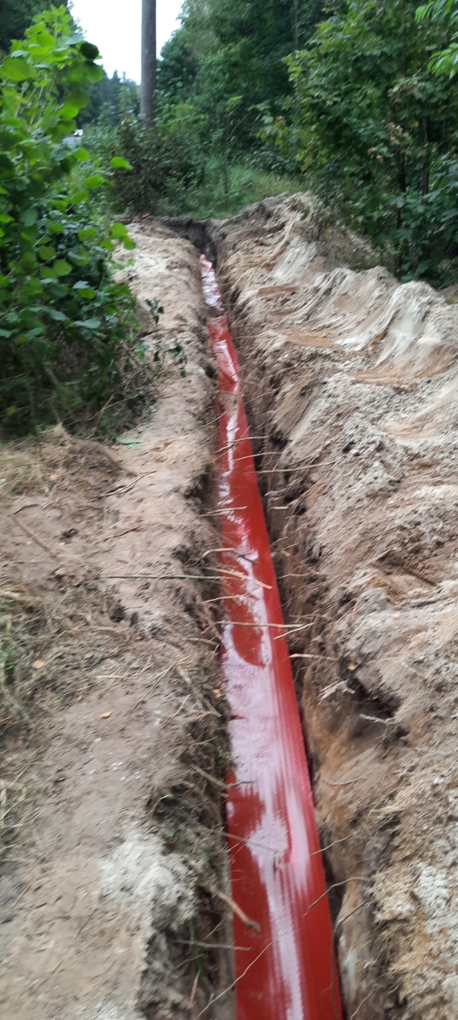 Czerwona rura ułożona w wykopie ziemnym na tle zieleni drzew