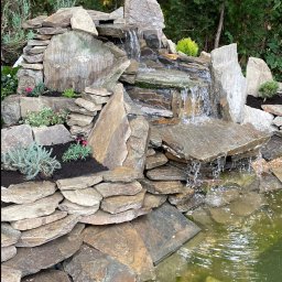 Oczka wodne Kraków 1