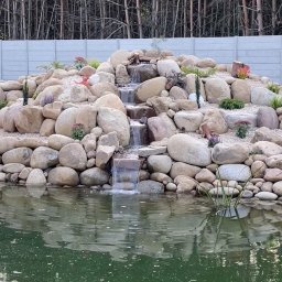 Oczka wodne Kraków 1