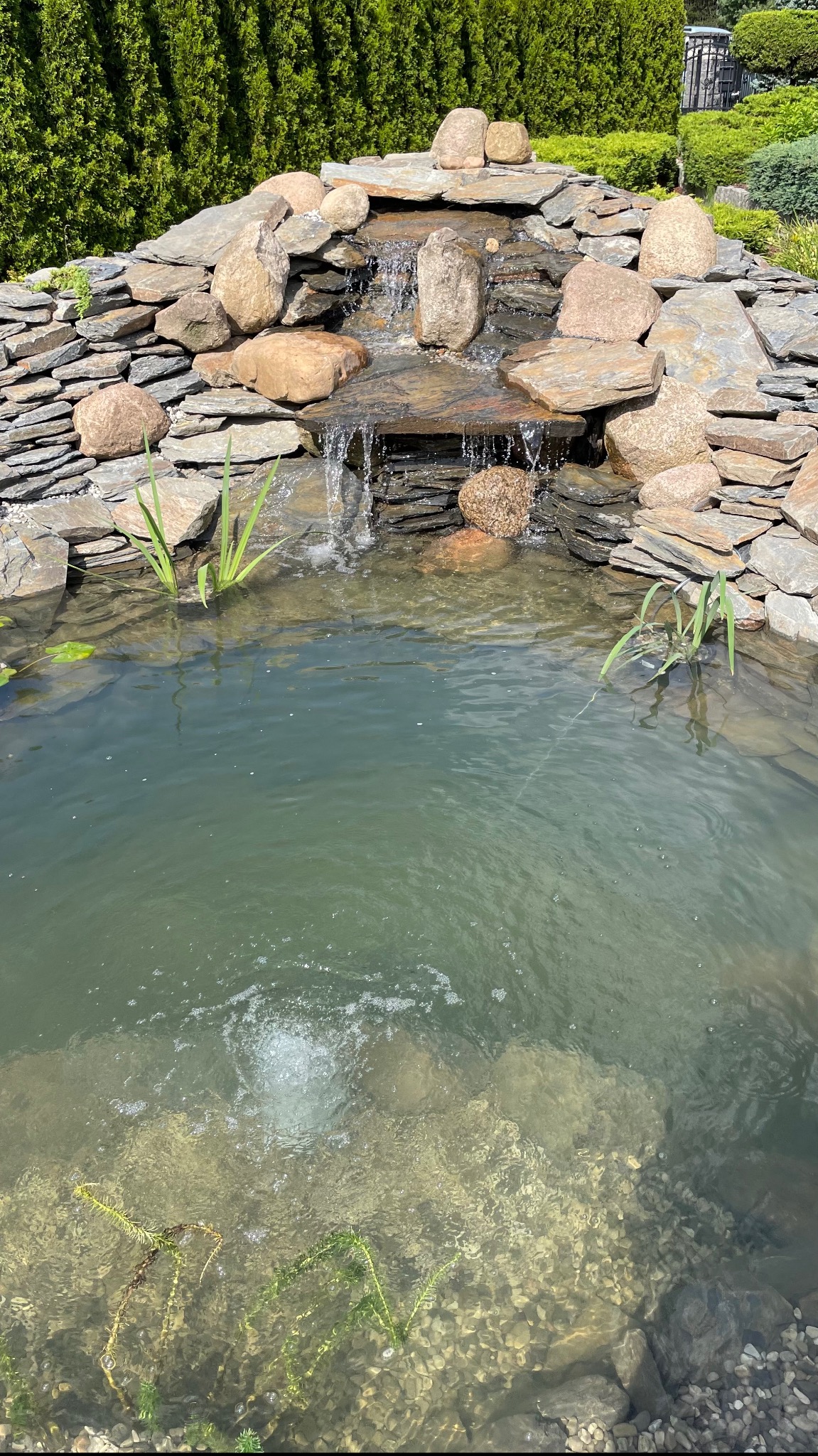 Kaskada wodna z kamieni łupkowych i otoczaków, z niskim wodospadem wpadającym do zbiornika wodnego z roślinnością podwodną i trzcinami na brzegach.