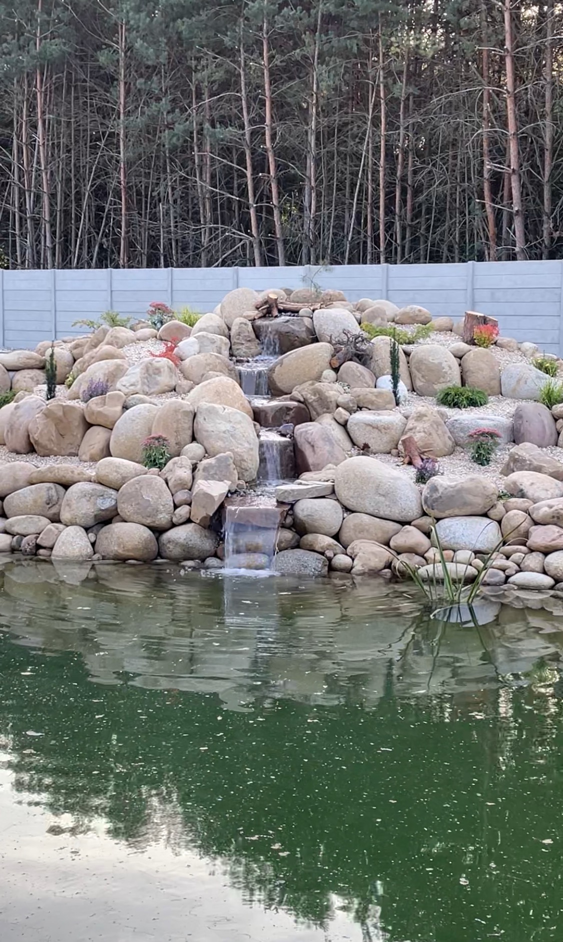 Kaskada wodna w ogrodzie, zbudowana z kamieni różnej wielkości, z roślinami ozdobnymi. Woda spływa do zielonego stawu, w tle widoczny płot i drzewa.