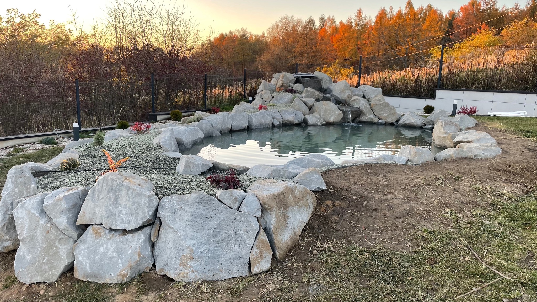Oczko wodne z kaskadą, otoczone szarymi kamieniami i roślinami ozdobnymi. W tle drzewa w jesiennych barwach i ogrodzenie.