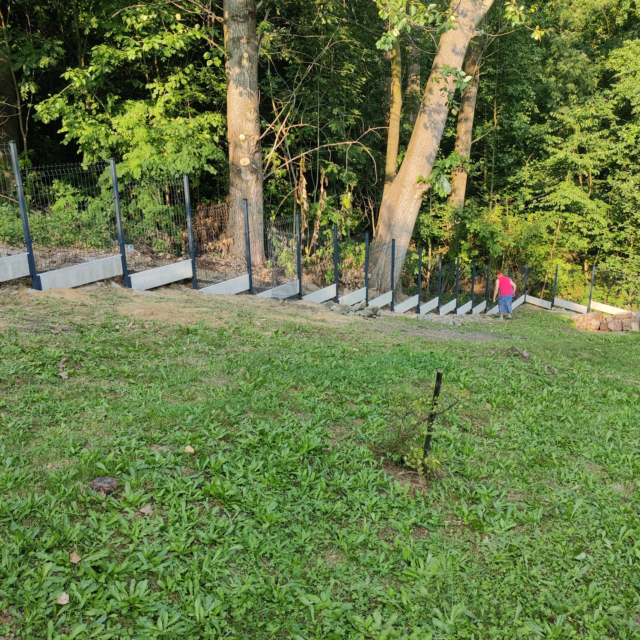 Ogrodzenie panelowe na betonowej podmurówce, zamontowane na nierównym terenie z drzewami i osobą w tle.