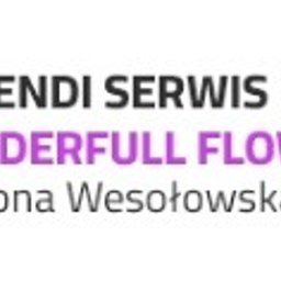 Sendi Serwis & Wonderfull Flower Ilona Wesołowska - Sprzątanie Po Remoncie Dąbrowa Górnicza