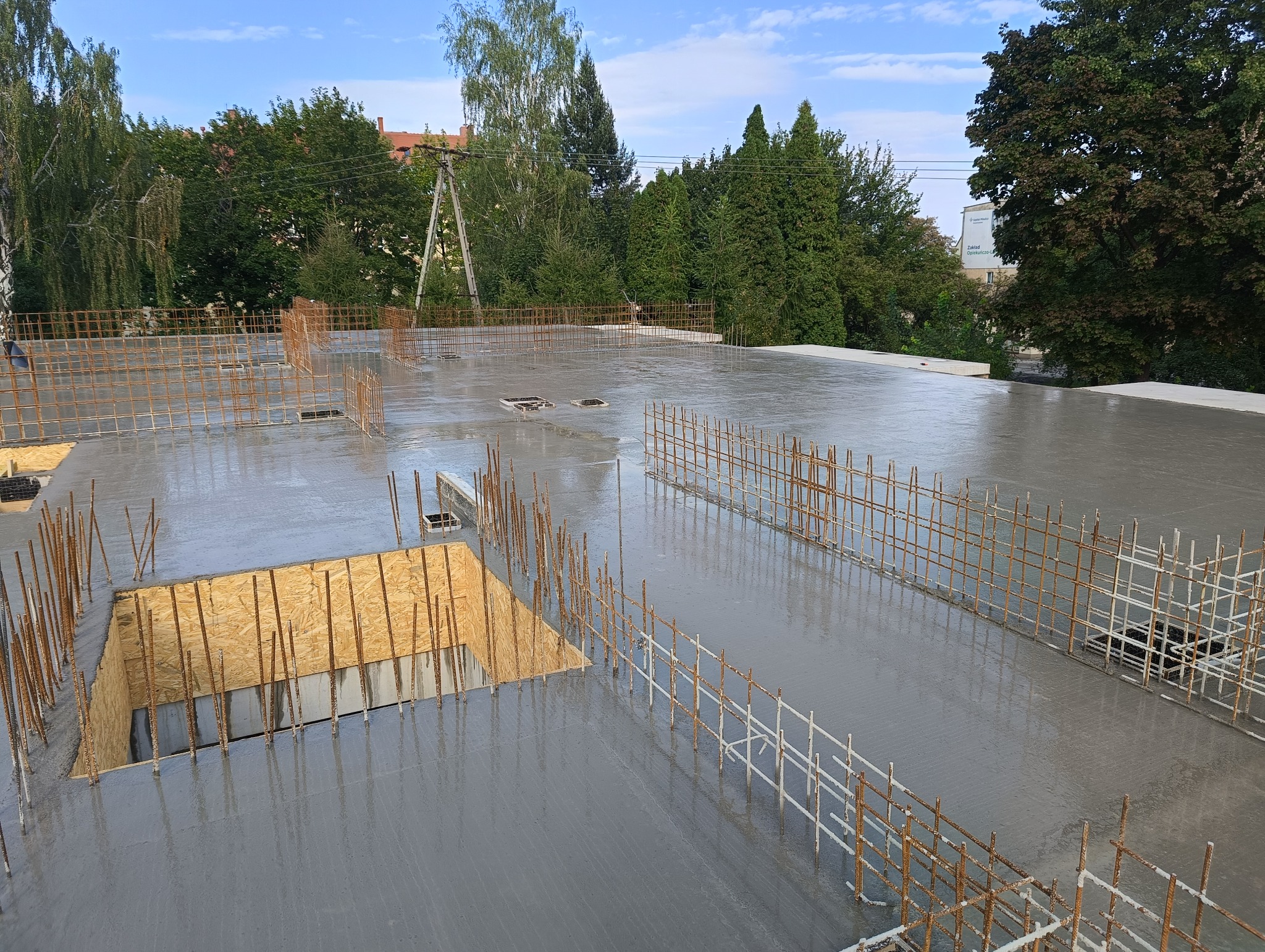 Świeżo wylany beton na stropie budynku w trakcie budowy, z widocznymi szalunkami z płyty OSB i wystającymi prętami zbrojeniowymi, na tle zieleni drzew i błękitnego nieba.