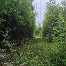 Instalacje elektryczne Gorzkowice 1