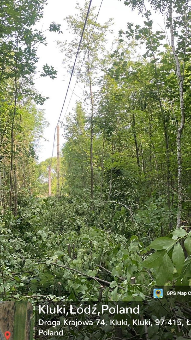 Świeżo wycięte gałęzie i pnie drzew pod linią energetyczną w lesie, widoczne słupy energetyczne