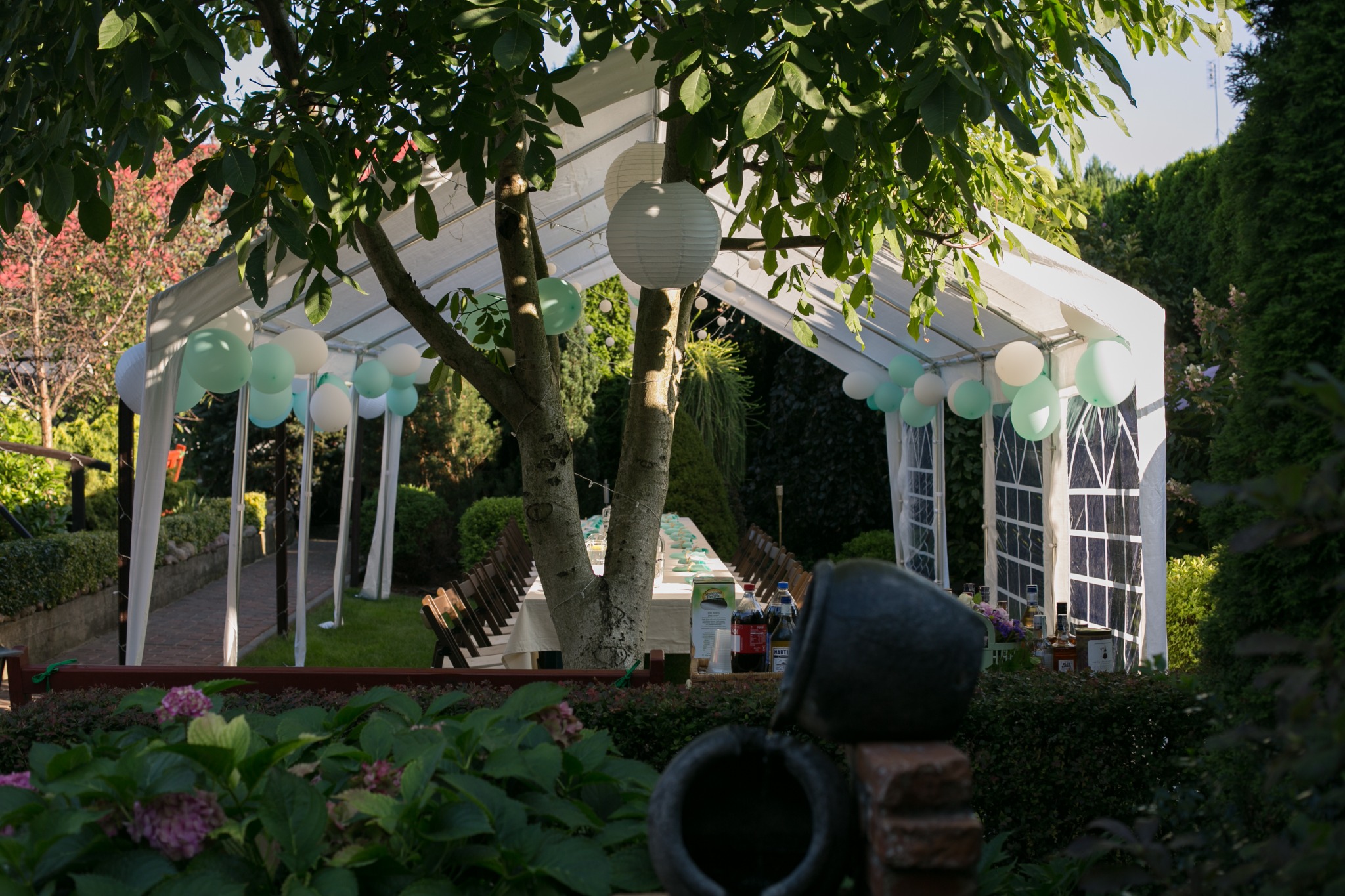 Uroczystość na świeżym powietrzu: biały namiot udekorowany pastelowymi balonami i lampionami, długi stół z nakryciami widoczny w oddali, całość ujęta zza dekoracyjnych donic i krzewów.