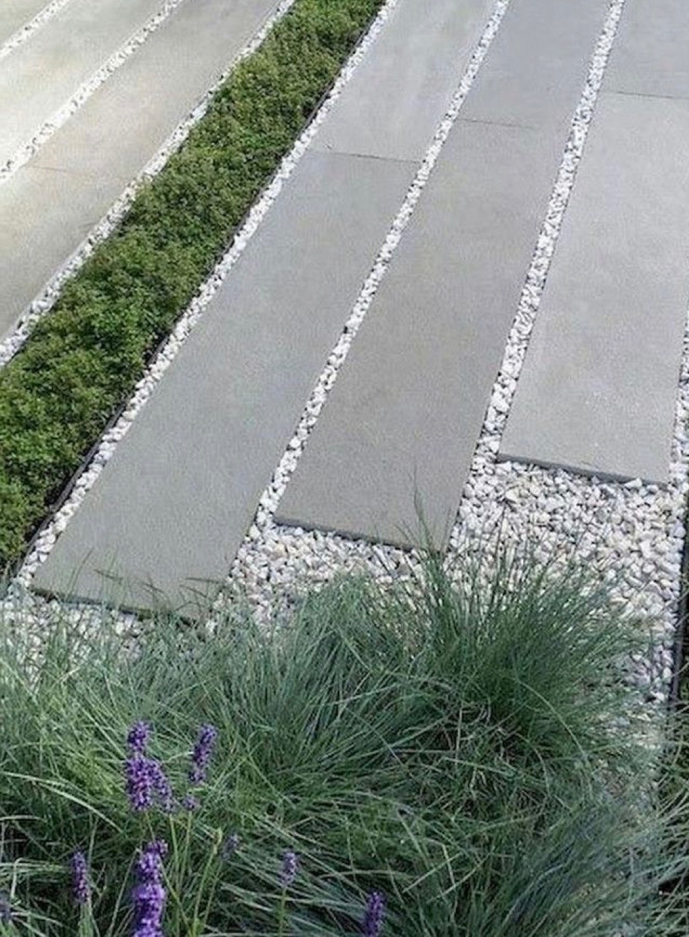 Prostokątne płyty chodnikowe oddzielone białym żwirem i pasami zieleni, z dekoracyjną trawą i kwitnącą lawendą na pierwszym planie.