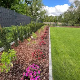 Zadbany ogród z równo przystrzyżonym trawnikiem, rabatą z korą, różowymi azaliami i tujami wzdłuż grafitowego ogrodzenia panelowego.