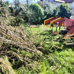 Ogrodowe love - Stos gałęzi po wycince drzew leżący na trawie obok czerwono-żółtej rębarki, w tle ścięte pnie drzew i dom