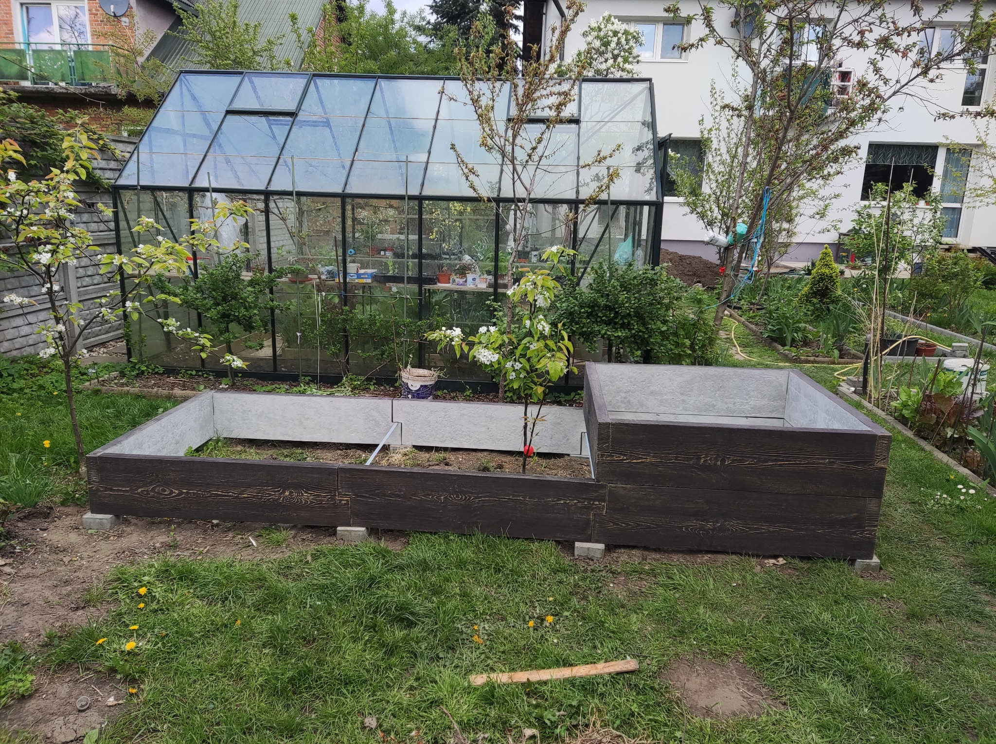 Szklarnia z czarnymi ramami w ogrodzie, obok podwyższone grządki z ciemnego drewna na betonowych bloczkach, trawa i drzewa w tle.