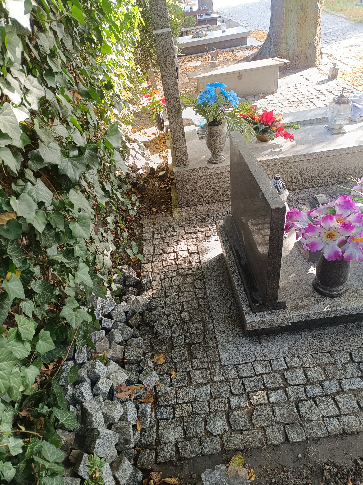 Fragment cmentarza z nowo ułożoną nawierzchnią z szarej kostki granitowej obok nagrobka, z widoczną stertą kostek do dalszego układania i bluszczem porastającym mur.