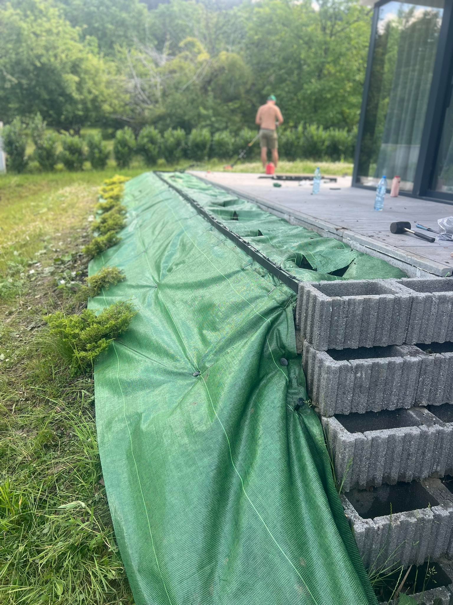 Przygotowanie rabaty z zieloną agrowłókniną, posadzone małe krzewy iglaste, w tle widoczny mężczyzna i nowoczesny dom z dużymi oknami.