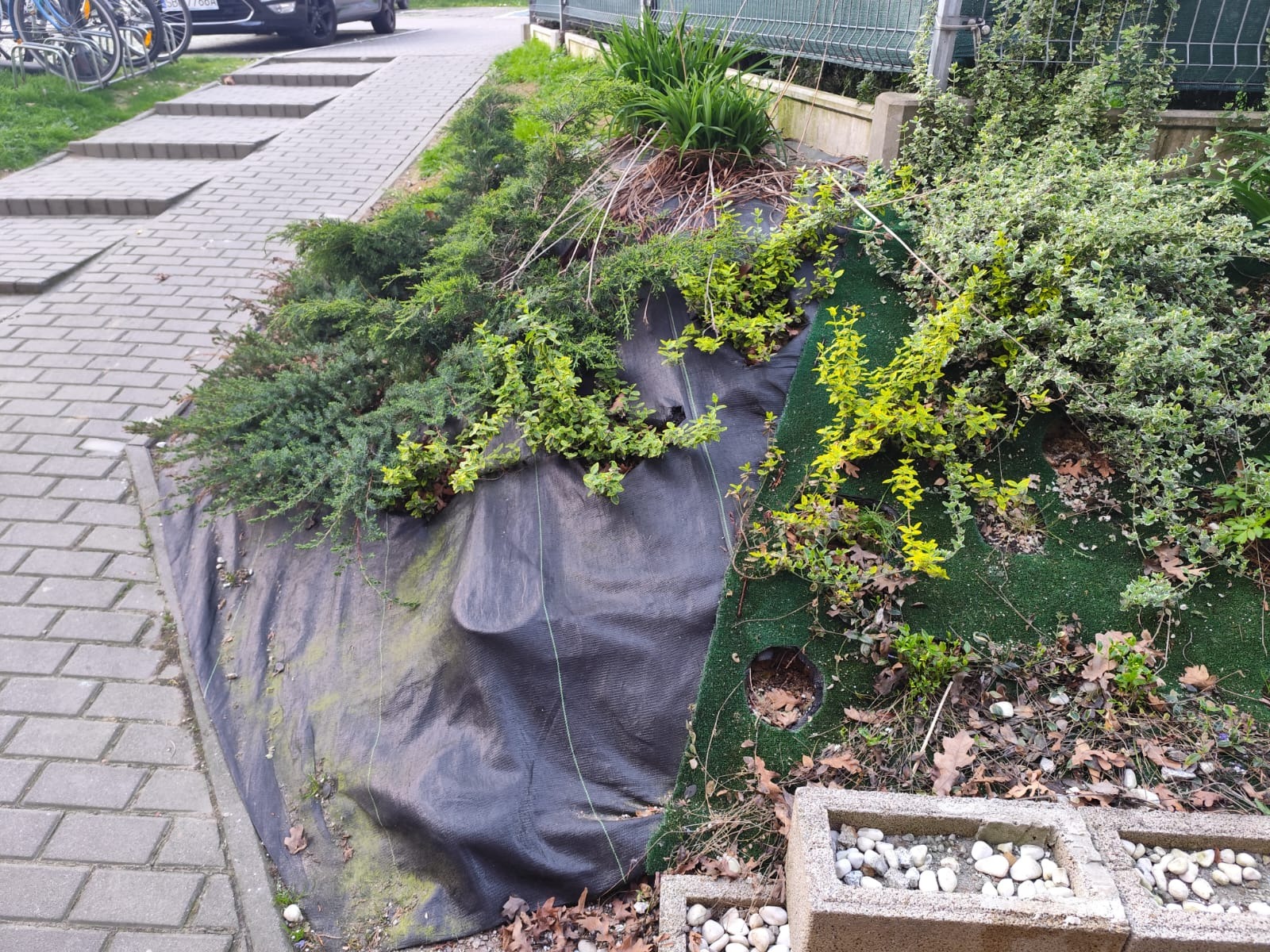 Skarpa obsadzona roślinami, częściowo zabezpieczona czarną agrowłókniną i sztuczną trawą. Widoczne kamienne obrzeża i chodnik z kostki.