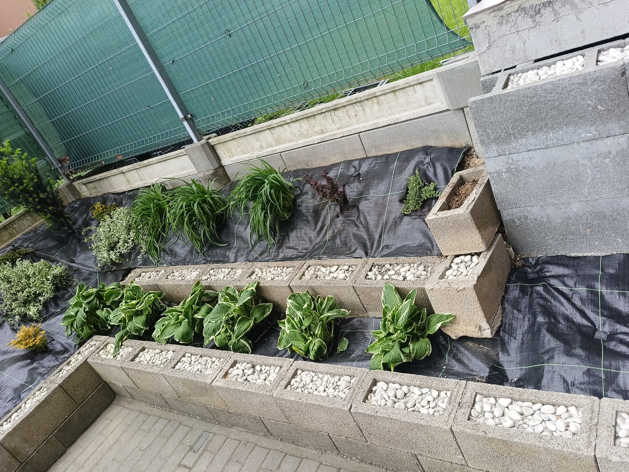 Rabata z bloków betonowych wypełnionych białymi kamykami, z posadzonymi roślinami na czarnej macie. Widok z góry na fragment ogrodu z zieloną siatką w tle.