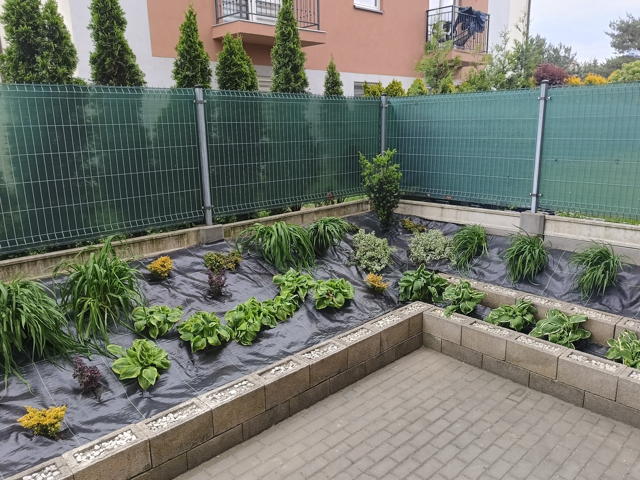 Rabata z roślinami, wyłożona agrowłókniną, obrzeża z betonowych bloczków wypełnionych białym kamieniem. W tle zielone tuje i siatka ogrodzeniowa.
