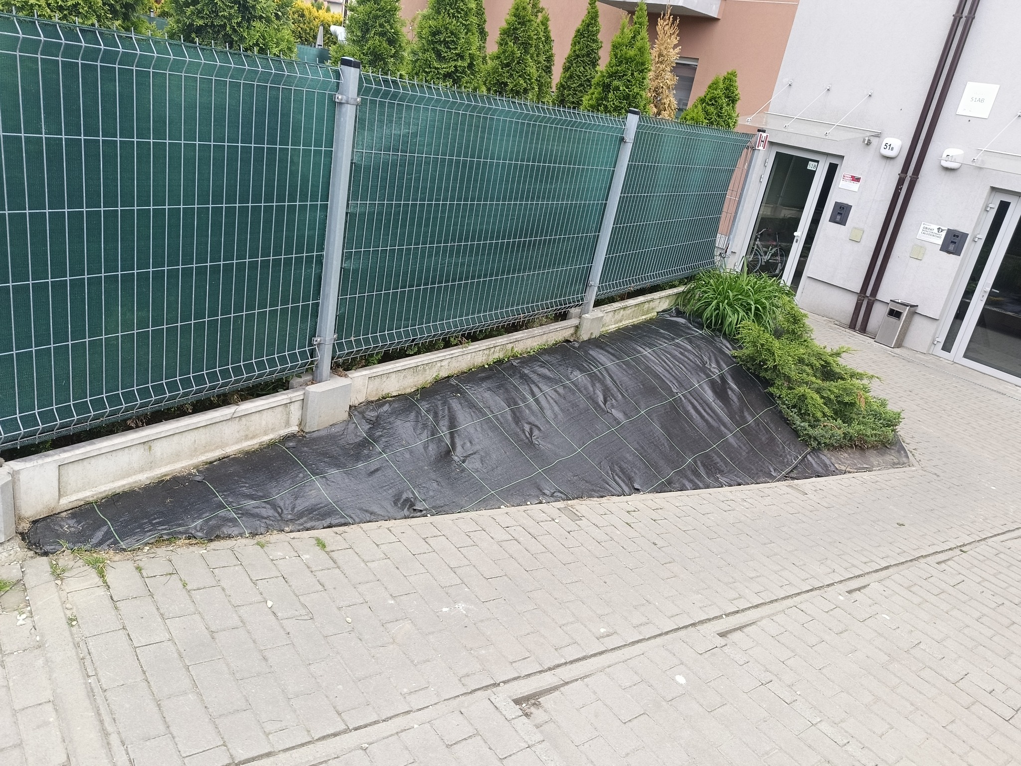 Przygotowanie terenu pod nasadzenia: czarna mata szkółkarska na skarpie wzdłuż ogrodzenia, tuje w tle, kostka brukowa na pierwszym planie. Etap prac ogrodniczych.